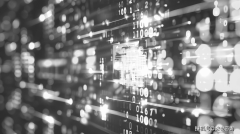 它自创自OWASP的软件保障成熟度模子（SA